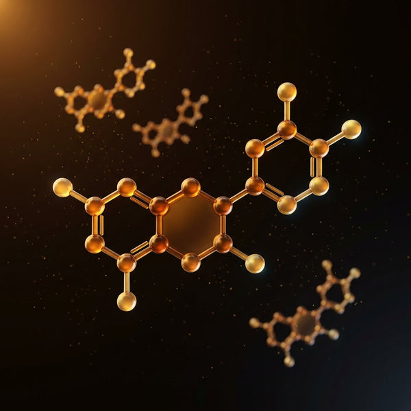 Cocoa Flavanol