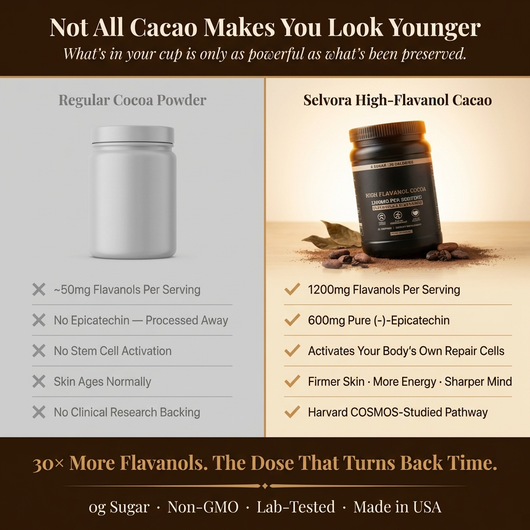 High Flavanol Cocoa Powder - 1200mg